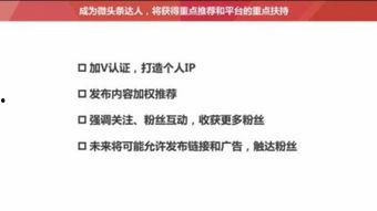 头条怎么选择养草领域,如何精准选择热门细分市场