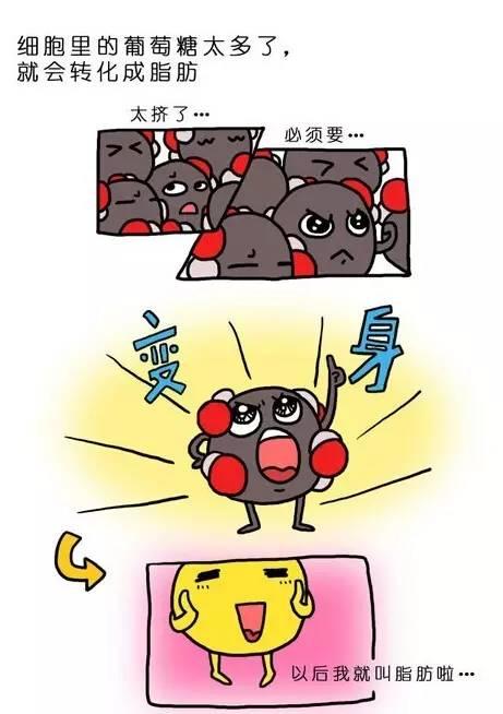 娱乐吃瓜酱锻炼大脑作品,脑力激荡的智慧盛宴